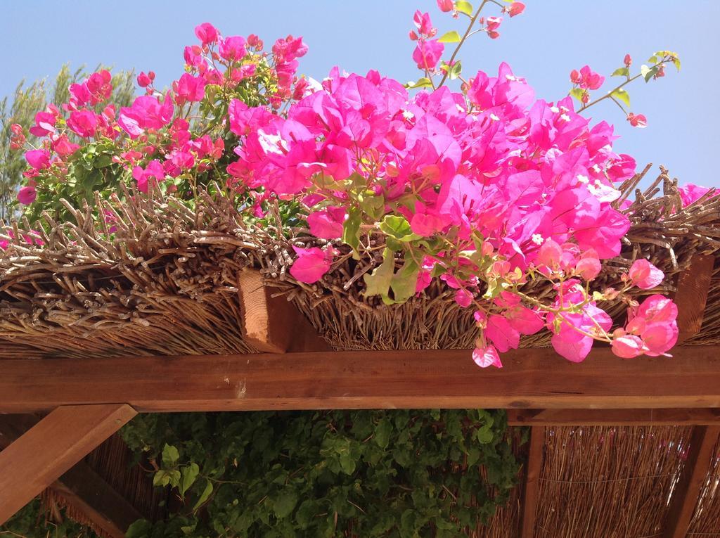 Finca Klara, Boutiquehotel - Apartment -Javea-Moraira- Benitachell Buitenkant foto